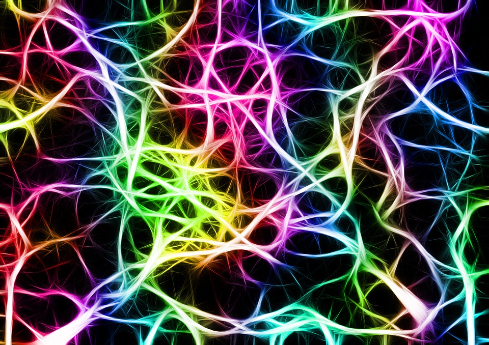 Neural Network